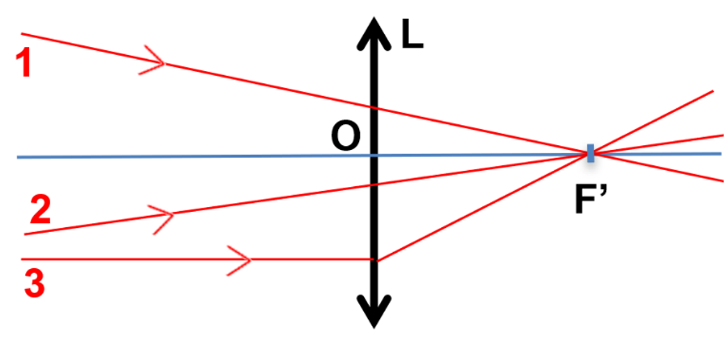 Question 7