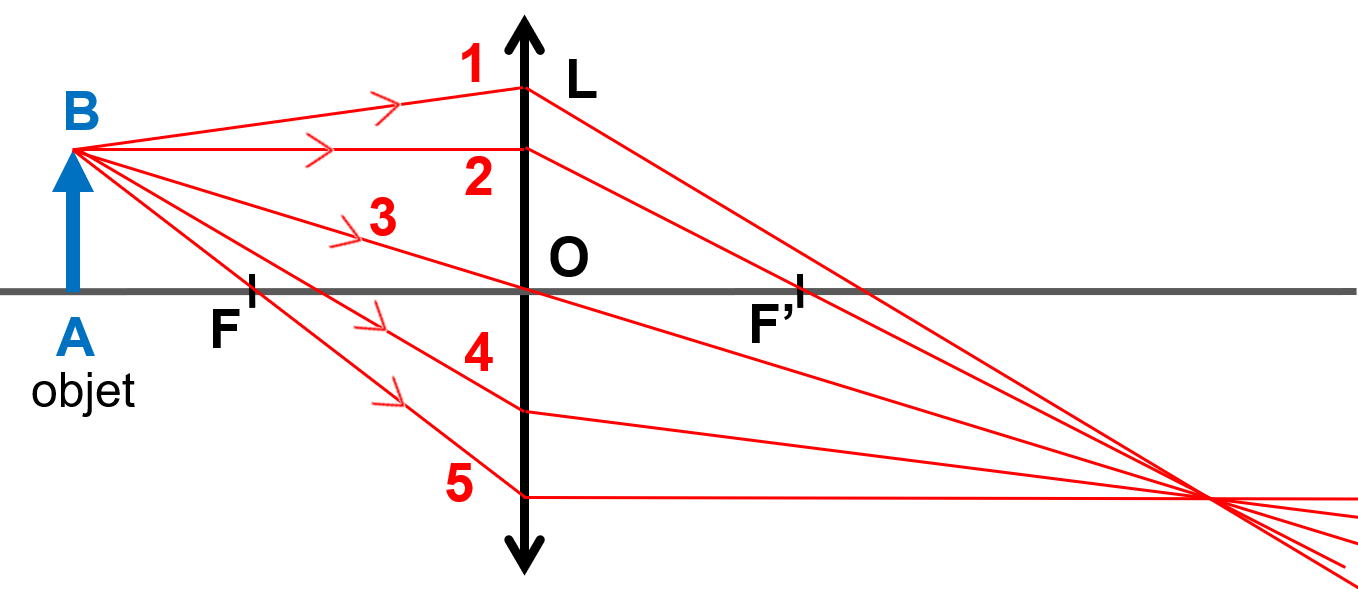 Question 6